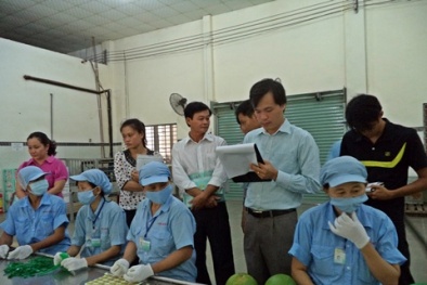Danh sách tổ chức đánh giá sự phù hợp được chỉ định thử nghiệm